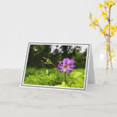 Foto close-up Paars Clematis Green Foliage Kaart (Gele Bloem)