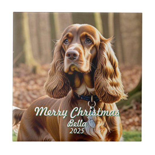 Foto Cocker Spaniel Aandenken Personaliseer Tegeltje (Voorkant)