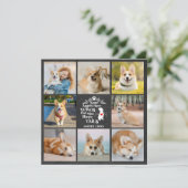 Foto Collage Pet Dog Herinnering verlies Kaart (Staand voorkant)