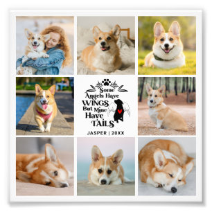 Foto Collage Pet Dog Verlies Foto Uitbreiding Afdruk
