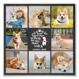 Foto Collage Pet Dog Verlies Foto Uitbreiding Afdruk