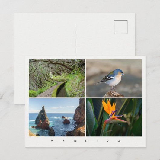 Foto-collage van het eiland Madeira, moderne reis Briefkaart (Voorkant / Achterkant)