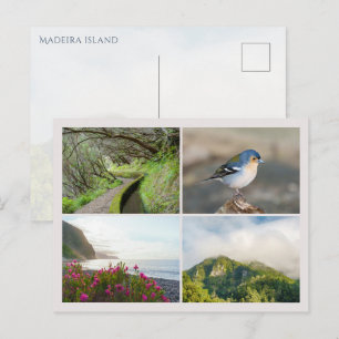 Foto-collage van het eiland Madeira, moderne reis Briefkaart