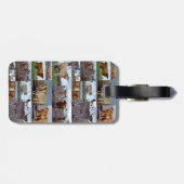 Foto-collage van hoogland-Koeien, Bagagelabel (Achterkant horizontaal)