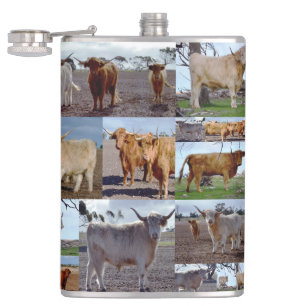 Foto-collage van Koeien op het hoge land, Heupfles