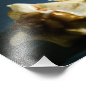 Foto Conch 3335 Foto Afdruk (Hoek)