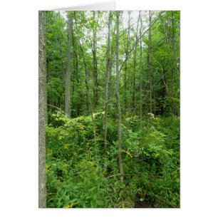 Foto "Cottage Country"