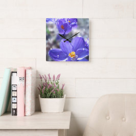 Foto Crocus Purple Flowers Vierkante Klok