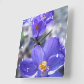 Foto Crocus Purple Flowers Vierkante Klok (Hoek)