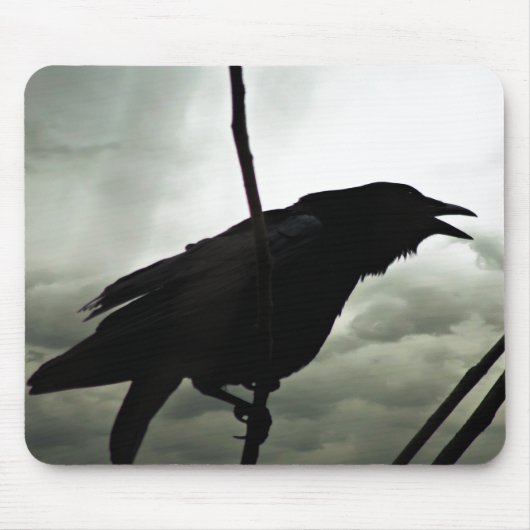 Foto Crow/Raven Muismat (Voorkant)