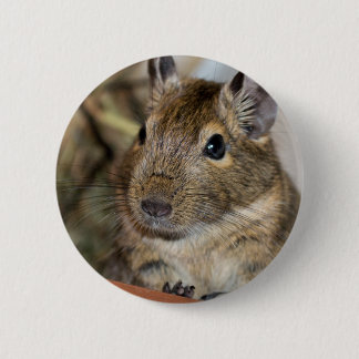 Foto Cute Alert Degu Ronde Button 5,7 Cm