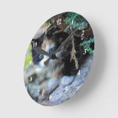 Foto Cute Calico Kitten Ronde Klok (Hoek)