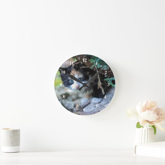 Foto Cute Calico Kitten Ronde Klok (Huis)