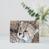 Foto Cute Cheetah Cub Briefkaart (Staand voorkant)