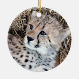 Foto Cute Cheetah Cub Keramisch Ornament