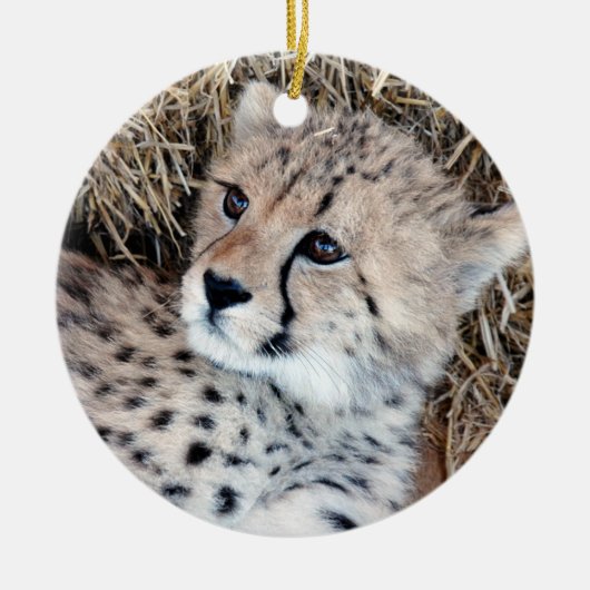 Foto Cute Cheetah Cub Keramisch Ornament (Voorkant)