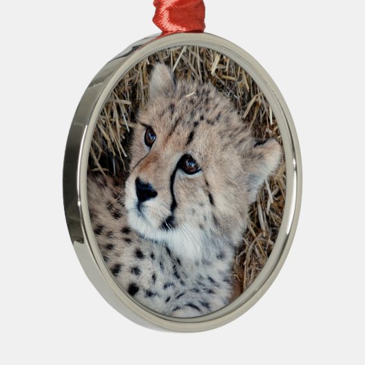 Foto Cute Cheetah Cub Metalen Ornament (Rechts)