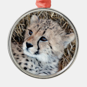 Foto Cute Cheetah Cub Metalen Ornament