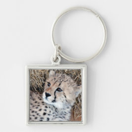 Foto Cute Cheetah Cub Sleutelhanger