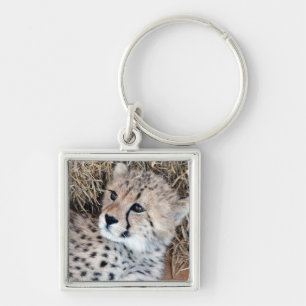 Foto Cute Cheetah Cub Sleutelhanger