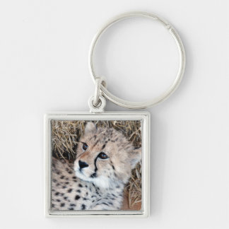 Foto Cute Cheetah Cub Sleutelhanger