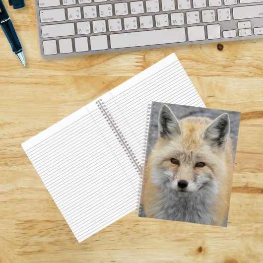 Foto Cute Red Fox Notitieboek