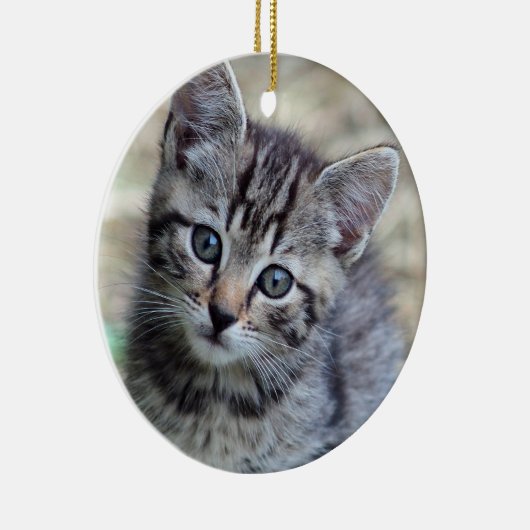 Foto Cute Tabby Kitten Keramisch Ornament (Rechts)