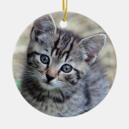 Foto Cute Tabby Kitten Keramisch Ornament