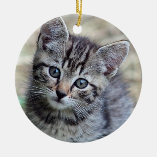 Foto Cute Tabby Kitten Keramisch Ornament (Voorkant)
