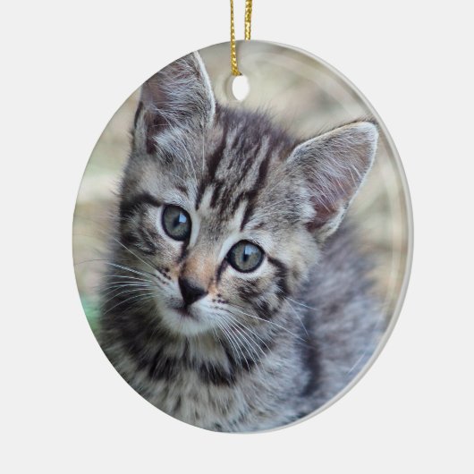Foto Cute Tabby Kitten Keramisch Ornament (Links)