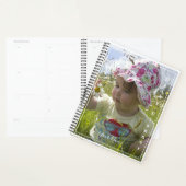 Foto Dagelijkse Planner- HAMbWG Planner (Display)