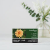 Foto: Dahlia 'David Howard' Visitekaartje (Staand voorkant)