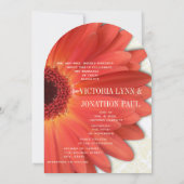 Foto  Damask Oranje Gerber Daisy Wedding Kaart (Achterkant)