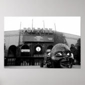 foto desilva poster (Voorkant)