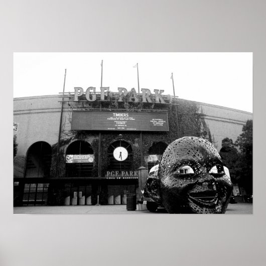 foto desilva poster (Voorkant)