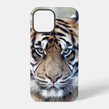 Foto , dieren , tijger , tijger . Case-Mate iPhon