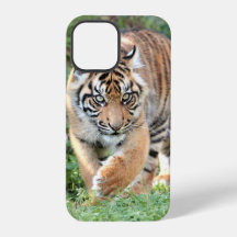 Foto, dieren, tijger, tijger. Case-Mate iPhon