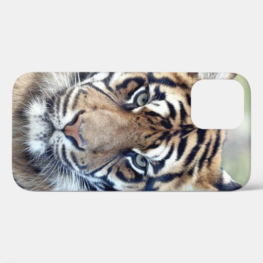 Foto , dieren , tijger , tijger . Hoesje-Mate iPho Case-Mate iPhone Case (Achterkant (horizontaal))
