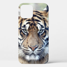 Foto , dieren , tijger , tijger . Hoesje-Mate iPho Case-Mate iPhone Case
