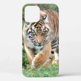 Foto , dieren , tijger , tijger . Hoesje-Mate iPho Case-Mate iPhone Case