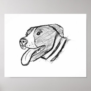 foto-dierenvriend met handtekening poster