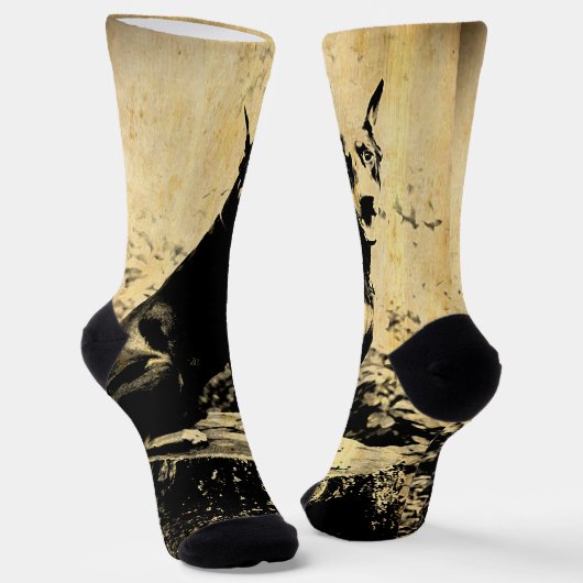  foto Doberman Pinscher Sokken (Gebogen)