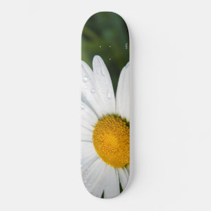 foto doen een margueritte, druppel water, groen persoonlijk skateboard