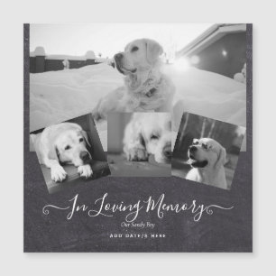FOTO Dog Memorial Gift- Pet Loss Keepslag Collage