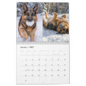 Foto Duitse herder Leven is Beter 2027 Kalender (Jan 2027)
