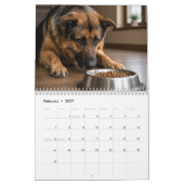 Foto Duitse herder Leven is Beter 2027 Kalender (Feb 2027)