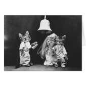  foto - een keukenkat bruiloft , (Voorkant Horizontaal)