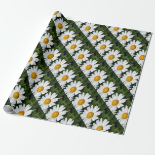 foto, een margriet, groene achtergrond cadeaupapier