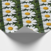 foto, een margriet, groene achtergrond cadeaupapier (Hoek)