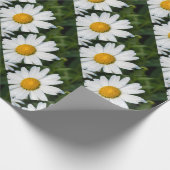 foto, een margriet, groene achtergrond cadeaupapier (Hoek)